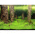 Hobby Photo Background Scaper's Hill/scaper's Forest - The Pets Club