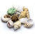 Hobby Sea Shells Small/medium in Deco Glass Jar 1L - The Pets Club