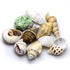 Hobby Sea Shells Small/medium in Deco Glass Jar 1L