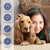 Hofseth Biocare Brilliant Salmon Oil for Dogs and Cats - The Pets Club