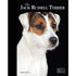 Jack Russell - Best of Breed