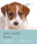 Jack Russell Terrier - Dog Expert - ThePetsClub