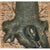 Juwel Background Root 600
