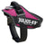 JULIUS-K9 IDC Powerharness - Dark Pink / Size 1 - ThePetsClub