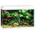 JUWEL Primo 70 LED - White - ThePetsClub