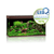 JUWEL RIO 350 LED - Dark Wood - ThePetsClub