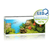 JUWEL Rio 450 LED - White - ThePetsClub