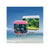 Karis Aquarium PF - Series - Assorted Colors - The Pets Club