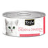 Kit Cat Chicken Wet Food for Cat - 6x80g