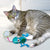 Kong Flingaroo Frog Cat Toy - The Pets Club