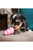 Kong Puppy Dog Toy - The Pets Club