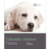 Labrador - Dog Expert