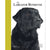Labrador Retriever - Best of Breed - ThePetsClub