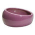 Hagen Living World Ergonomic Dish for Small Pet