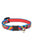 Lupine Pet Cat collar Originals - ThePetsClub