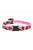 Lupine Pet Cat collar Originals - ThePetsClub
