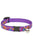 Lupine Pet Cat collar Originals - ThePetsClub