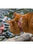 Lupine Pet Cat collar Originals - ThePetsClub