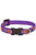 Lupine Pet Cat collar Originals - ThePetsClub