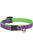 Lupine Pet Cat collar with Bell - ThePetsClub