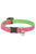 Lupine Pet Cat collar with Bell - ThePetsClub