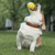 M-PETS Bloom Ball Dog Toy - ThePetsClub
