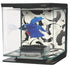 Marina Betta Kit - Ying/yang