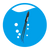 MAXSPECT PCT - TZ CORAL TWEEZERS - The Pets Club