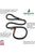 Mendota Pet Slip Leash 1/2