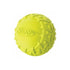 Nerf Dog Tire Squeak Ball