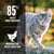 Orijen Original Cat Dry Food - ThePetsClub