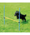 Pawpals Agility Dog Training Hurdle - The Pets Club