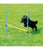 Pawpals Agility Dog Training Hurdle - The Pets Club