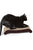 PetFusion Cat Scratcher - ThePetsClub