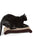 PetFusion Cat Scratcher - The Pets Club