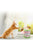 PetGeek Wonder Pod - The Pets Club