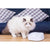 Petkit 