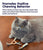 Petstages Catnip Dental Health Cat Chew Toy - 2 Pack - The Pets Club