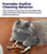 Petstages Catnip Dental Health Cat Chew Toy - 2 Pack - The Pets Club