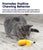 Petstages Dental Banana Catnip Cat Chew Toy - The Pets Club