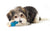 Petstages Mini Orka Chew Pair Bone & Dumbbell Dog Toys Small - 2 Pack - The Pets Club