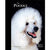 Poodle - Best of Breed - ThePetsClub