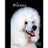 Poodle - Best of Breed