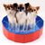 Portable Pet Tub Pool For Dog - ThePetsClub