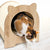Premium Cat Furniture Minou - Poplar - ThePetsClub
