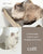 Premium Cat Furniture - White - ThePetsClub