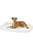 QuietTime Double Fashion Bolster Bed - ThePetsClub