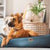 Rogz Indoor Cushioned Dog Bed - ThePetsClub