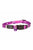 Rogz Kiddycat Collar - ThePetsClub