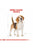 ROYAL CANIN BEAGLE ADULT DRY DOG FOOD - ThePetsClub